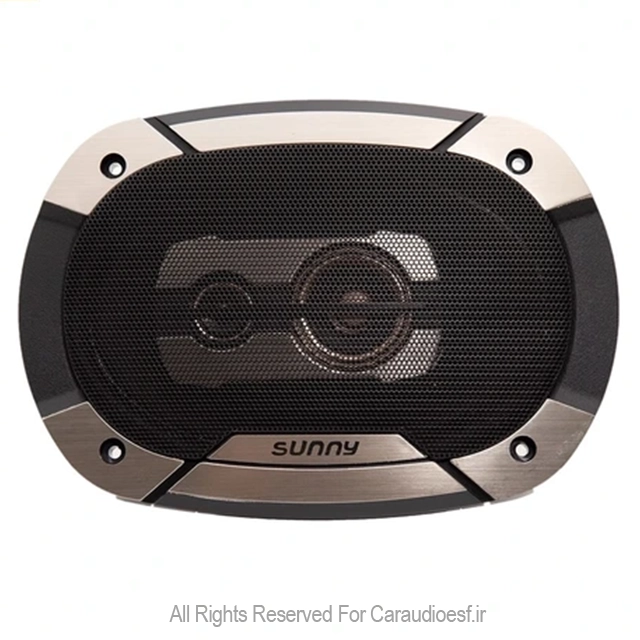 بلندگو بیضی SUNNY مدل TS-6975F بلندگو بیضی SUNNY مدل TS-6975F